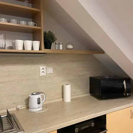 7 People - 1 Price - Cozy Attic Lejlighed Prešov